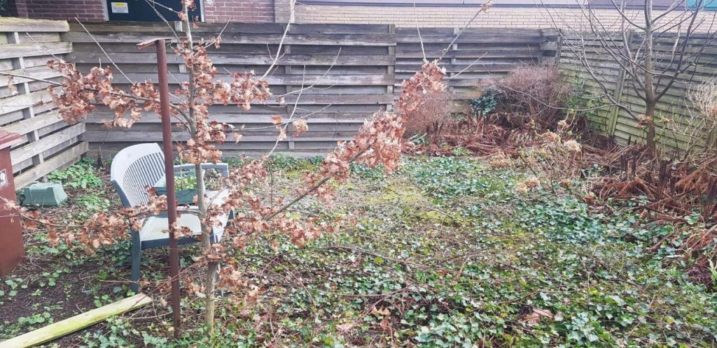 Vóór: Deze tuin was ernstig verwilderd